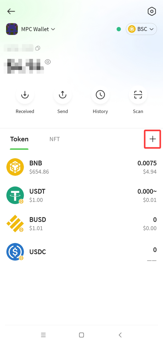 P.CN 钱包主页，红框标出 Token 标签旁的加号按钮