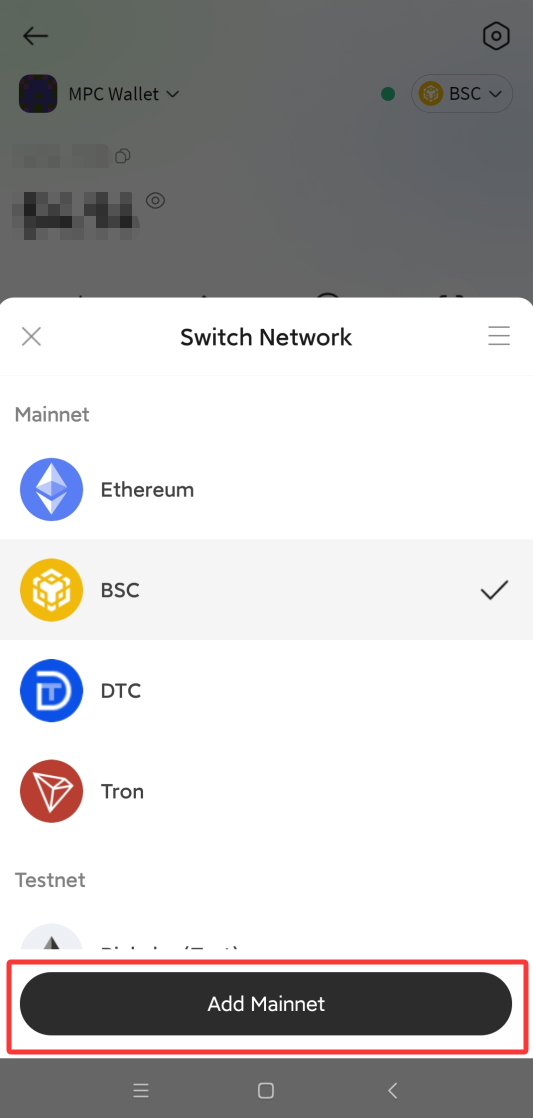 P.CN 切换网络弹窗,主网组含 Ethereum、BSC、DTC、Tron,红框标出 Add Mainnet 按钮
