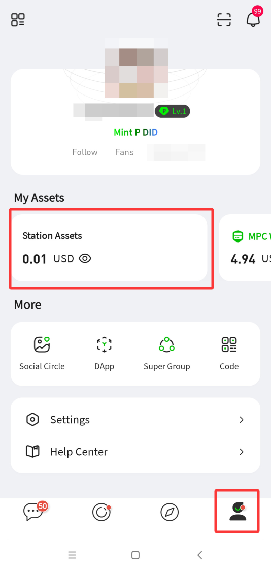 P.CN 个人主页,红框标出 My Assets 区的 Station Assets 站内资产卡片