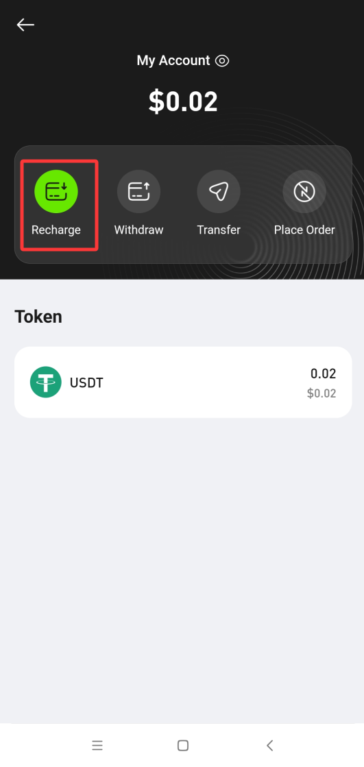 P.CN 站内账户页,红框标出绿色高亮的 Recharge 充值按钮
