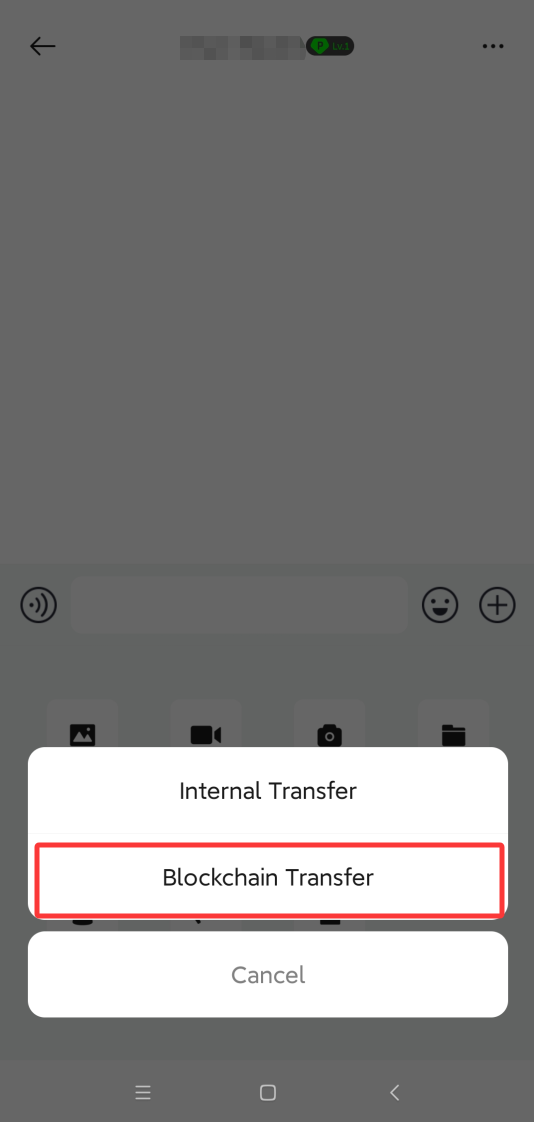 P.CN 转账方式选择弹窗，红框标出 Blockchain Transfer 链上转账选项
