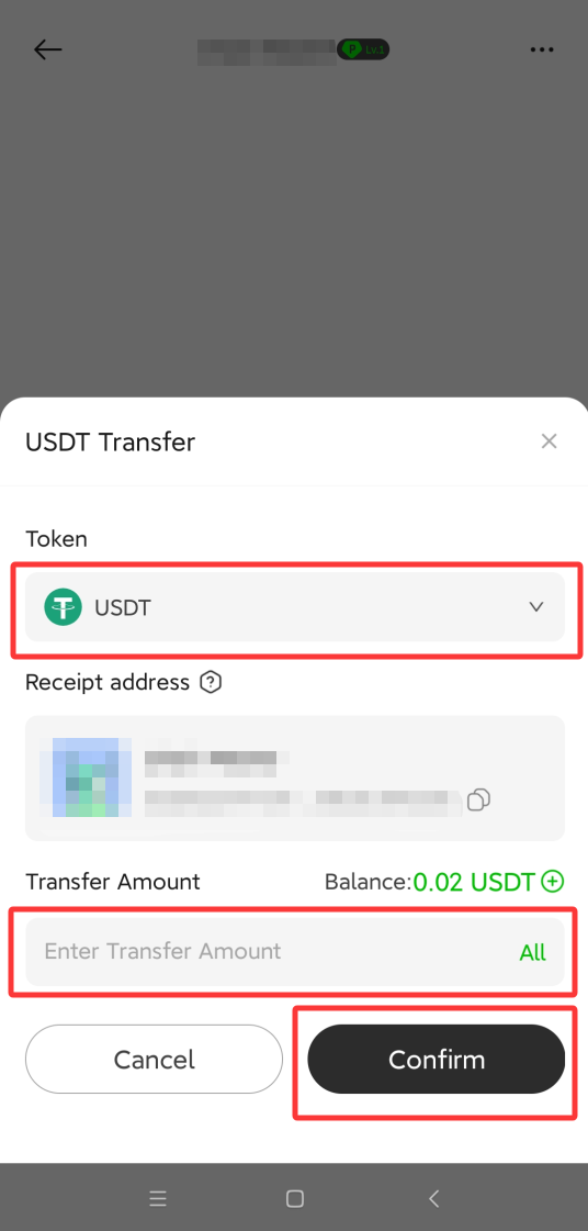 P.CN USDT 站内转账弹窗，红框标出币种、金额输入与确认按钮
