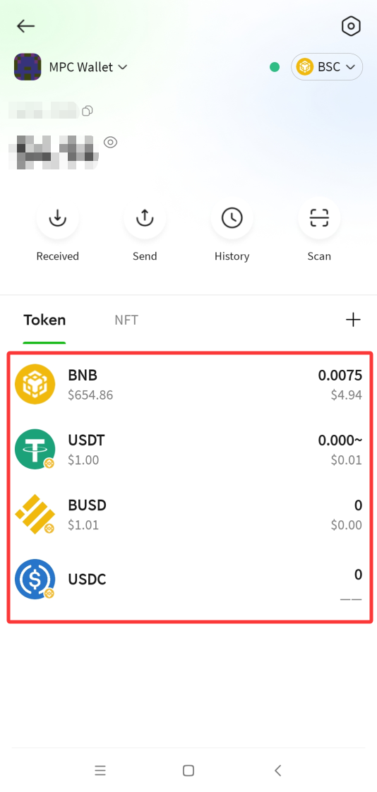 P.CN 钱包主页,红框标出 Token 持仓列表